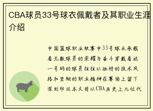 CBA球员33号球衣佩戴者及其职业生涯介绍