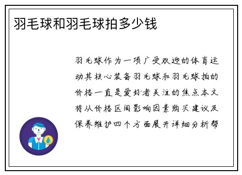 羽毛球和羽毛球拍多少钱