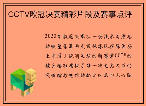 CCTV欧冠决赛精彩片段及赛事点评